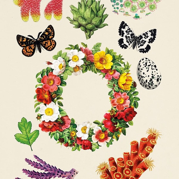 The Antiquarian Sticker Book (Over 1,000 Exquisite Victorian Stickers) - Picture 7 of 7